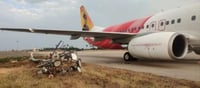 विजयवाड़ा हवाई अड्डे पर उतरते समय एयर इंडिया का विमान पोल से टकराया